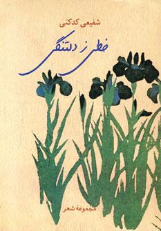 عکس خطی ز دلتنگی