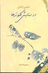 عکس در ستایش کبوترها