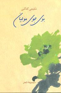 عکس بوی جوی مولیان