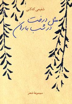 عکس مثل درخت در شب باران