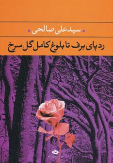 عکس رد پای برف تا بلوغ کامل گل سرخ