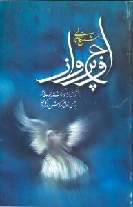 عکس اوج پرواز