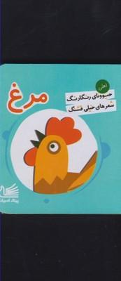 عکس مرغ