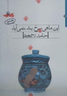 عکس این ماهی سرخ بند نمی‌آید