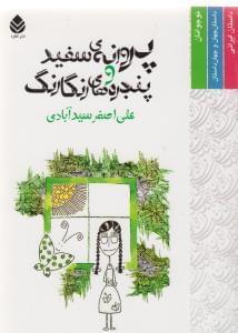 عکس پروانه سفید و پنجره‌های رنگارنگ