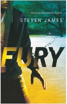 عکس Fury - Blur Trilogy 2