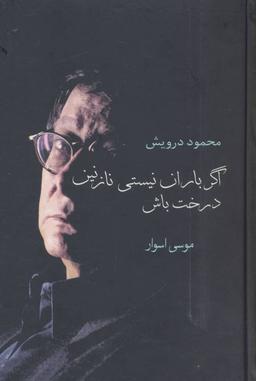 عکس اگر باران نیستی نازنین، درخت باش