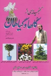 عکس گنجینه‌ای از گل‌ها و گیاهان