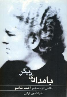 عکس بامدادی دیگر