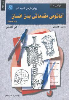 عکس آناتومی مقدماتی بدن انسان