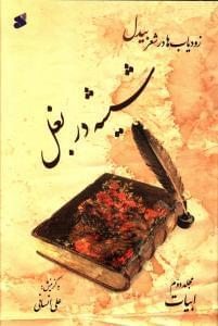 عکس گزیده اشعار بیدل