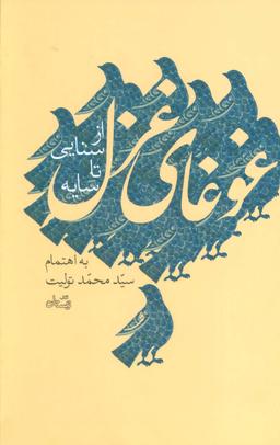 عکس غوغای غزل