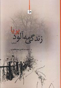 عکس زندگی مه‌آلود پریا (رمان)