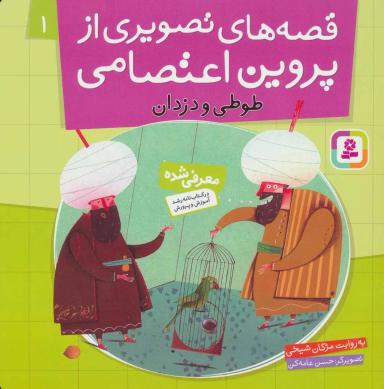 عکس طوطی و دزدان