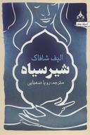 عکس شیر سیاه