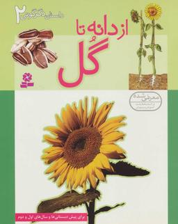 عکس از دانه تا گل