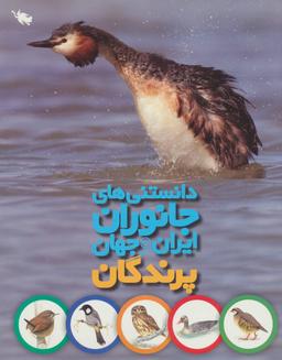 عکس پرندگان