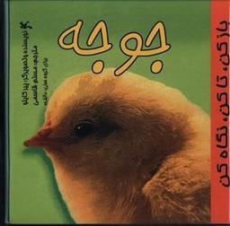 عکس جوجه