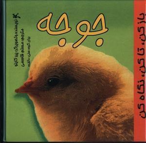 عکس جوجه