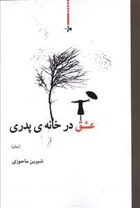 عکس عشق در خانهٔ پدری (رمان)