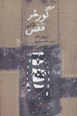 عکس گورخر در قفس