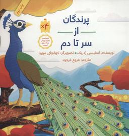 عکس پرندگان از سر تادم