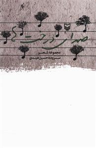 عکس صدای درخت‌ها