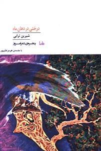 عکس درختی در دهان ماه