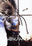 عکس ببار بارون