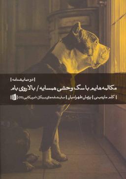 عکس مکالمه‌هایم با سگ وحشی همسایه و بالا روی بام