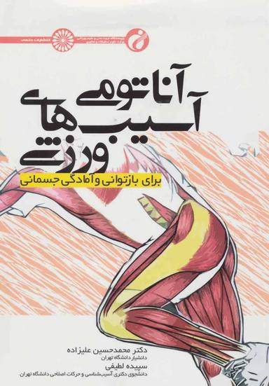 عکس آناتومی آسیب‌های ورزشی برای بازتوانی و آمادگی جسمانی