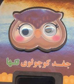 عکس جغد کوچولوی تنها