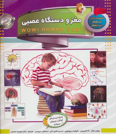 عکس مغز و دستگاه عصبی