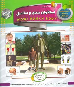 عکس استخوان‌بندی و مفاصل
