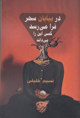 عکس در بیابان سحر فرا می‌رسد کسی این را می‌داند…