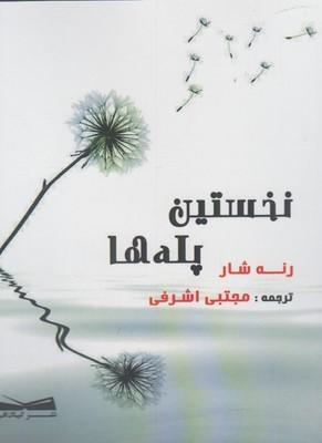 عکس نخستین پله‌ها