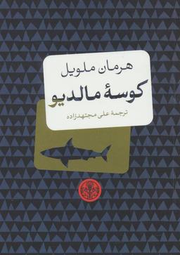 عکس کوسه مالدیو