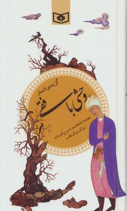 عکس گزیده اشعار وحشی‌بافقی