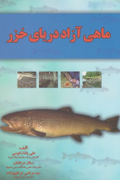 عکس ماهی آزاد دریای خزر= Salmo trutta caspius