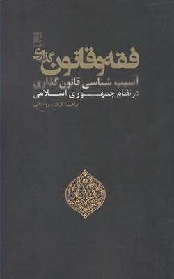 عکس فقه و قانونگذاری