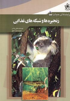 عکس زنجیره‌ها و شبکه‌های غذایی