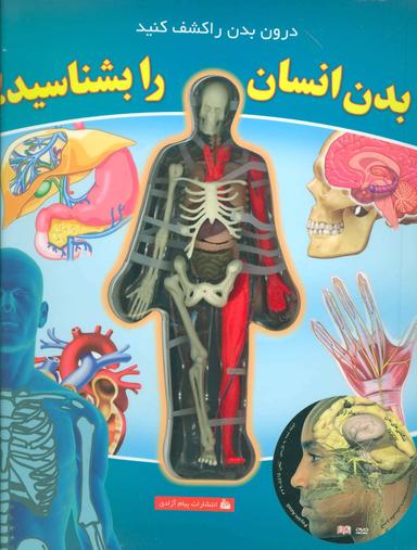 عکس بدن انسان را بشناسید!