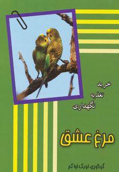 عکس مرغ عشق خرید–نگهداری–تغذیه