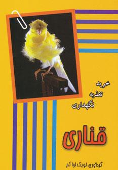 عکس قناری