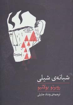 عکس شبانهٔ شیلی