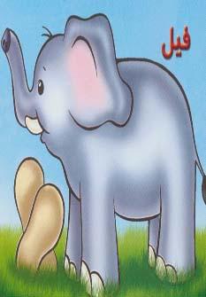عکس فیل