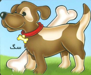 عکس سگ