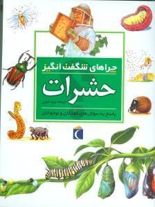 عکس حشرات