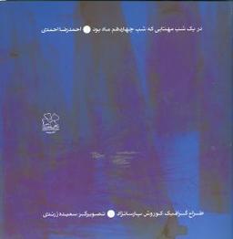 عکس در یک شب مهتابی که شب چهاردهم ماه بود