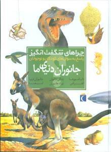 عکس چراهای شگفت‌انگیز جانوران دنیای ما